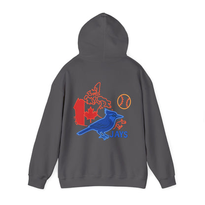 Toronto Blue Jays Baseball Hoodie — Go Jays Fan Sweatshirt, Canadian Baseball Gift