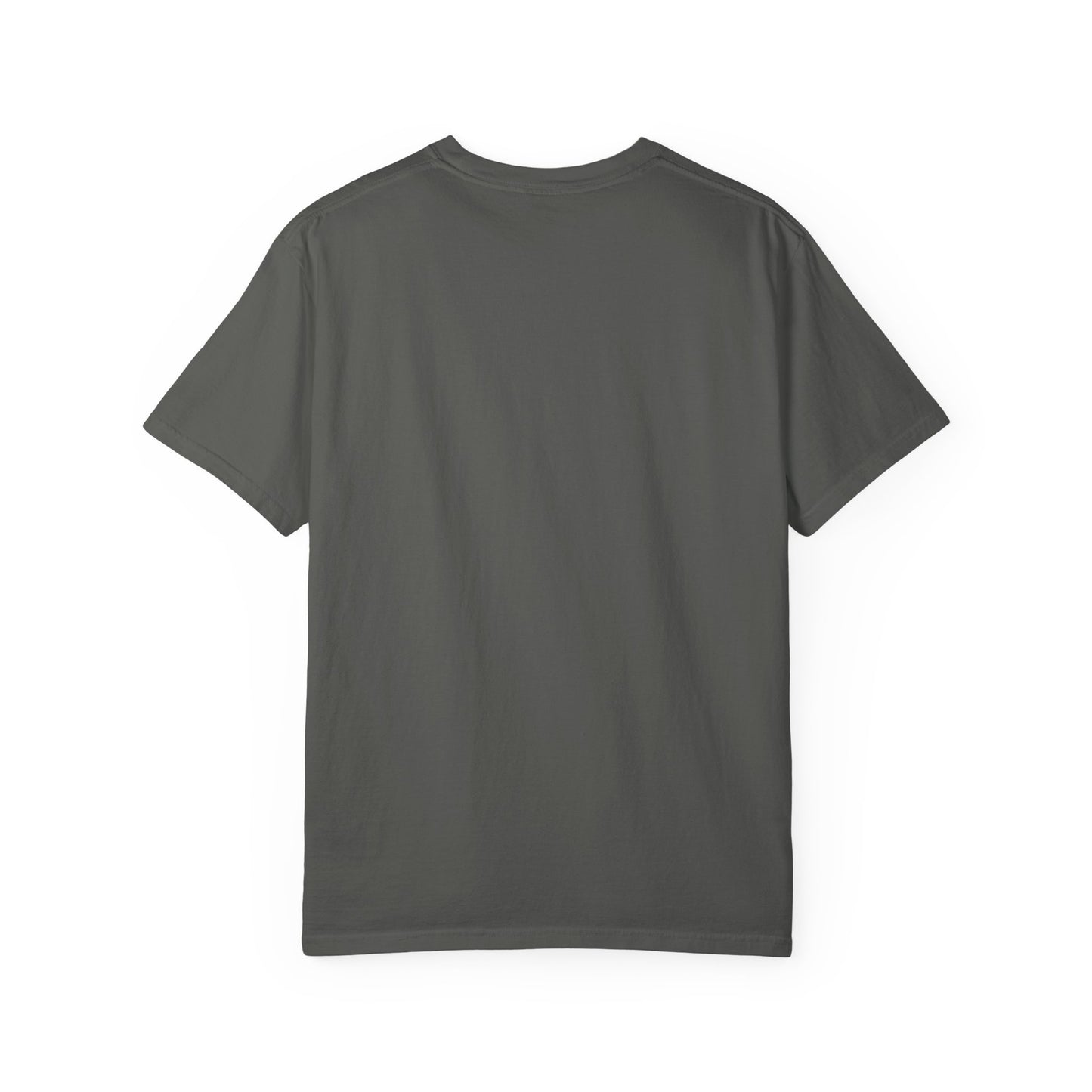 Baseball Fan T-Shirt | Go Jays Go Unisex Tee